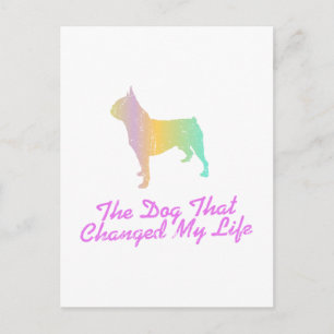 Boston Terrier Postcard