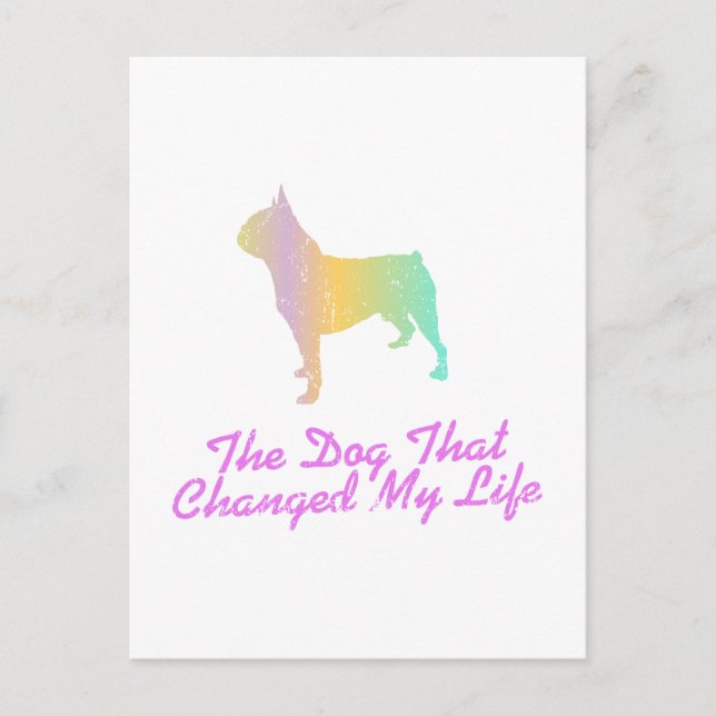 Boston Terrier Postcard (Front)