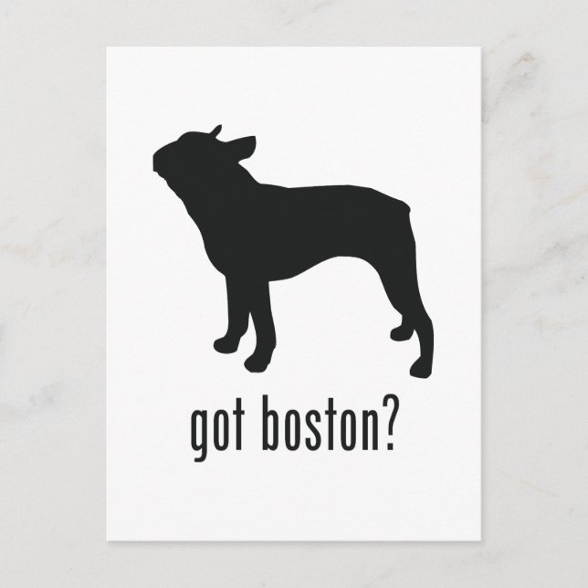 Boston Terrier Postcard (Front)