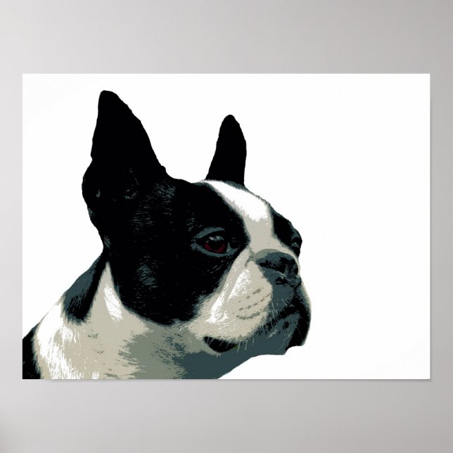 Boston Terrier Poster (Front)