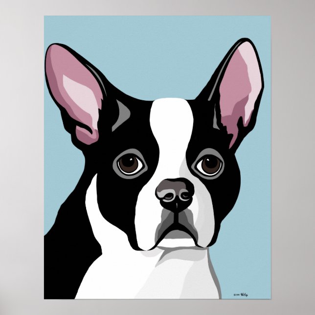 Boston Terrier Posters (Front)