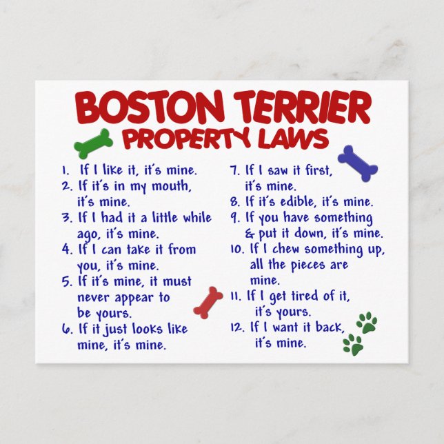 Boston Terrier Property Laws 2 Postcard (Front)