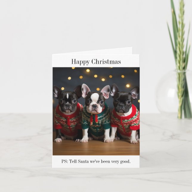 Boston Terrier Puppies Christmas Card (Front)