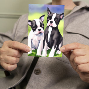 Boston Terrier Puppies Watercolor Greeting Card