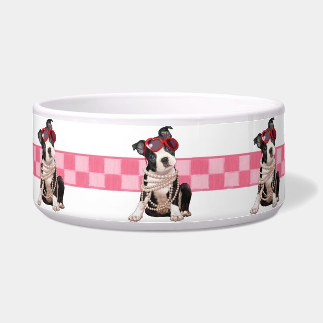 Boston Terrier Puppy (Front)