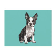 Boston Terrier  Puppy Dog Postcard 