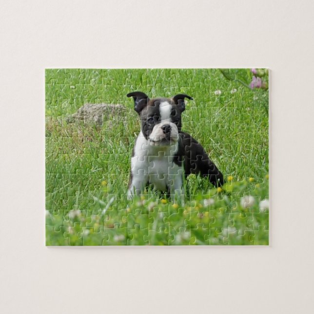 Boston Terrier Puppy in Meadow Puzzle (Horizontal)