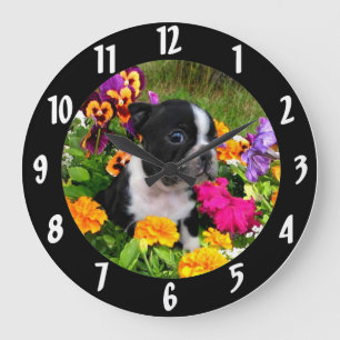 Boston Terrier puppy Large Clock