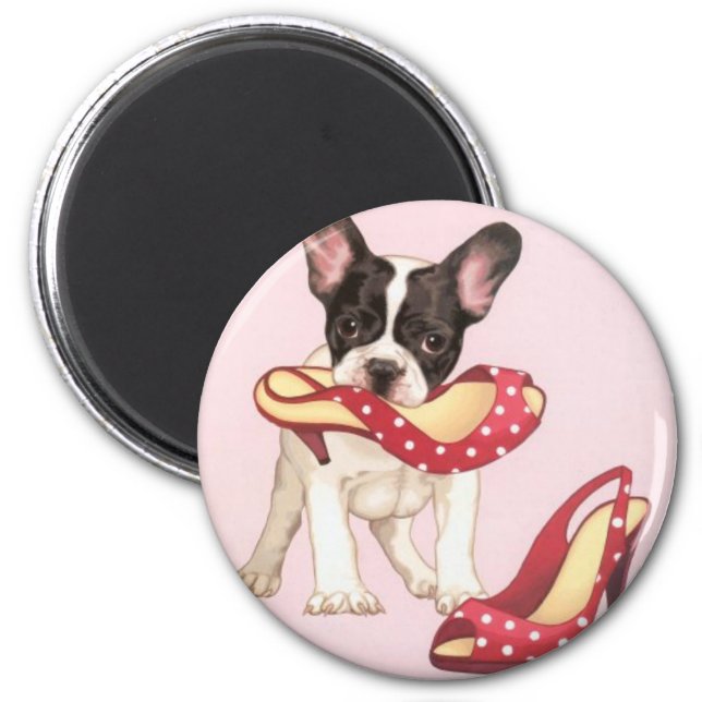 Boston Terrier Puppy With Shoes Magnet (Front)
