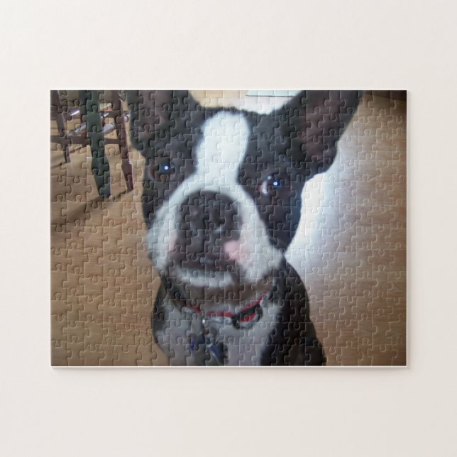 BOSTON TERRIER PUZZLE (Horizontal)