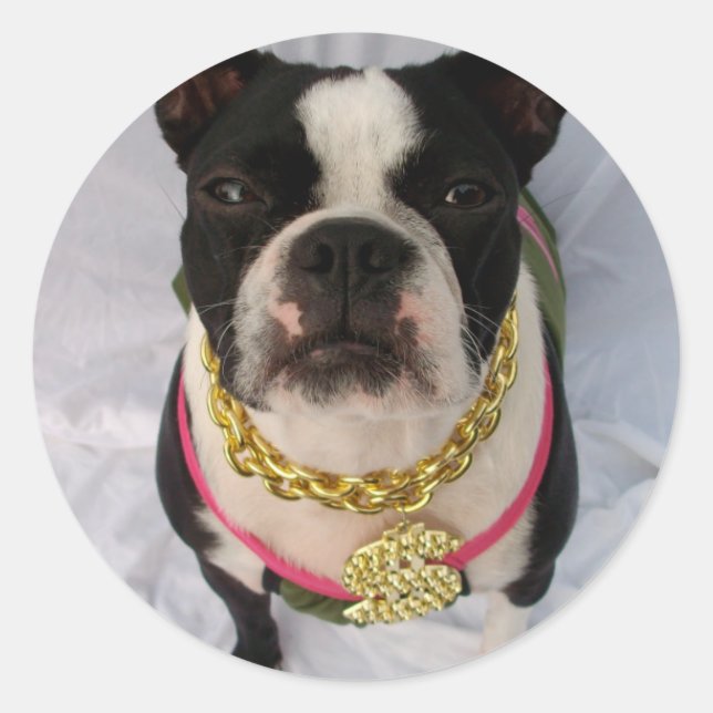 Boston Terrier Rapper Classic Round Sticker (Front)