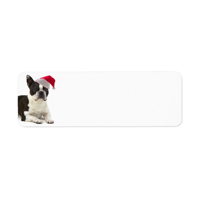 Boston Terrier Return Address Labels (Front)