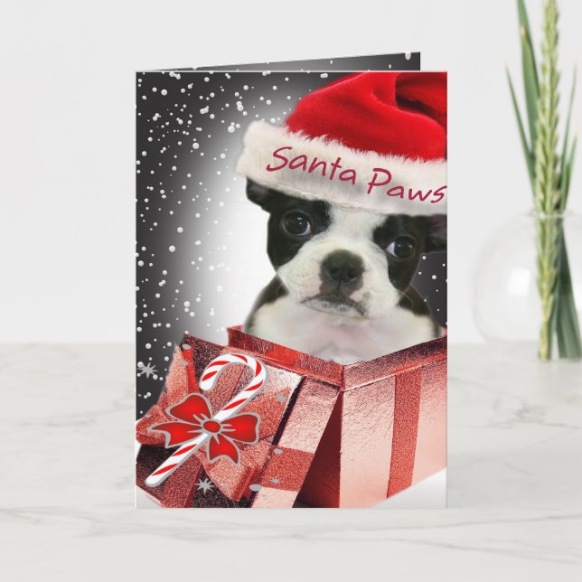 Boston Terrier Santa Paws Cards (Front)