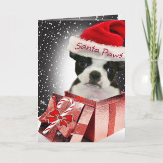 Boston Terrier Santa Paws Loves MOM Holiday Card