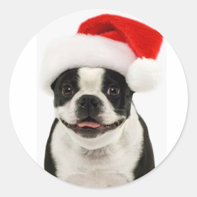 Boston Terrier  Santa Sticker (Front)