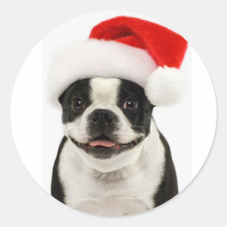 Boston Terrier Santa Sticker