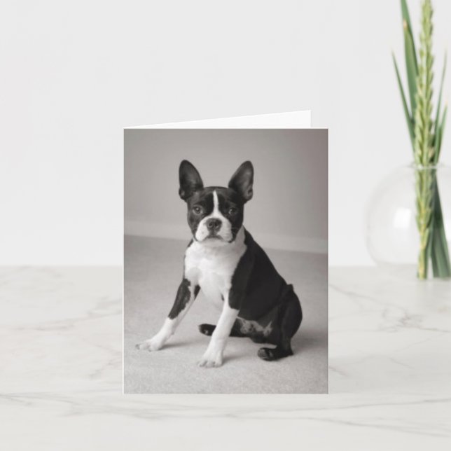 Boston Terrier Sitting Note Card (Front)