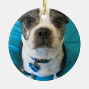 Boston Terrier sitting on a bed Ceramic Tree Decoration