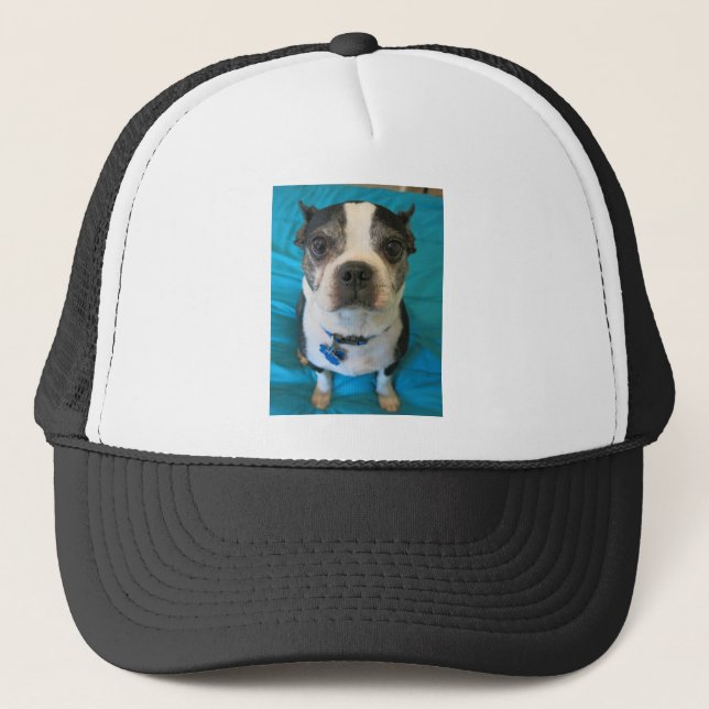 Boston Terrier sitting on a bed Trucker Hat (Front)