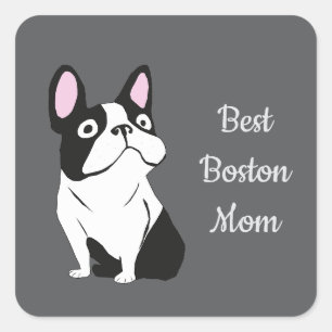 Boston terrier square sticker