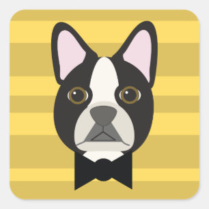 Boston Terrier Square Sticker