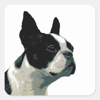 Boston Terrier Square Sticker