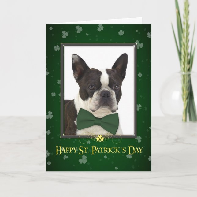 Boston Terrier St. Patrick's Day Card (Front)