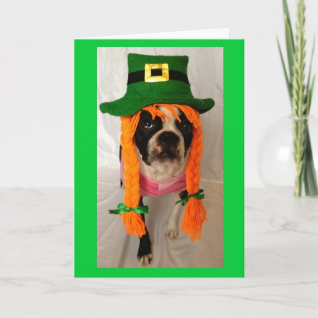 Boston Terrier St. Patrick's Day card (Front)
