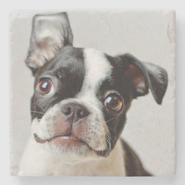 Boston Terrier Stone Coaster (Front)