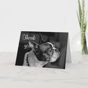 Boston terrier thank you card