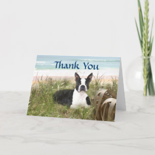 Boston Terrier Thank You Card Beachgrass