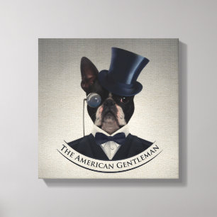 Boston Terrier  - The American Gentleman Canvas Print