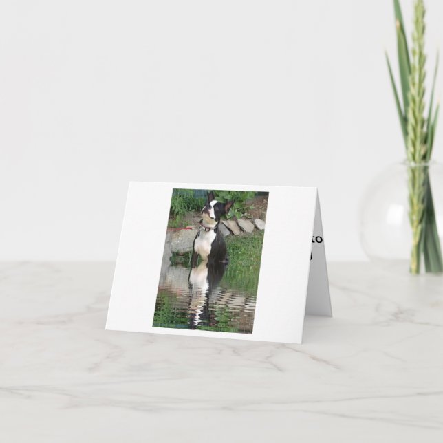 Boston Terrier thinking about you card (Front)