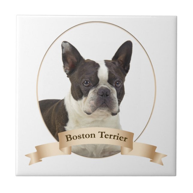 Boston Terrier Tile (Front)