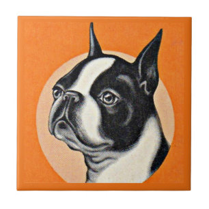 Boston terrier tile