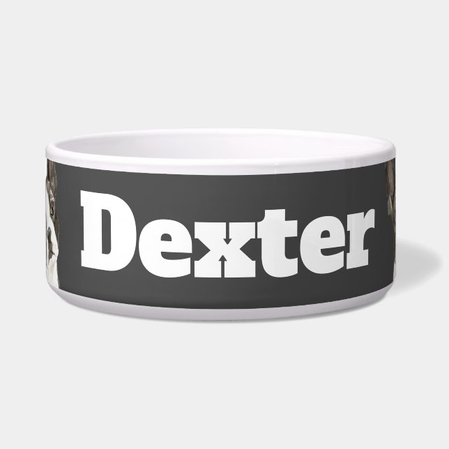 Boston Terrier triangle (Front)