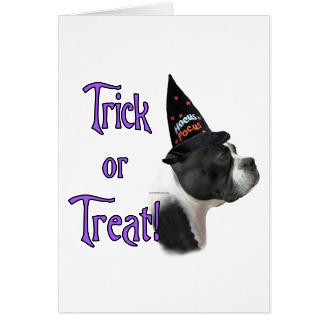 Boston Terrier Trick (Front)
