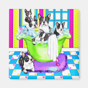 Boston Terrier Tub Full Magnet