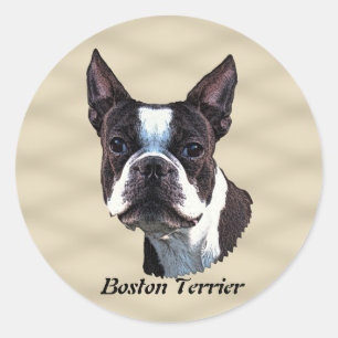 Boston Terrier v3 Classic Round Sticker