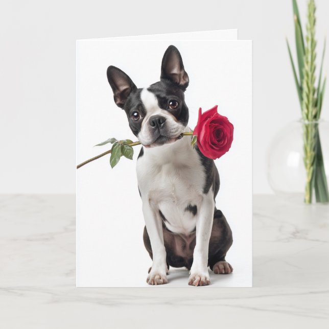 Boston Terrier Valentine – Dapper Love Card (Front)
