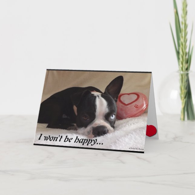 Boston Terrier Valentine's Day Card (Front)