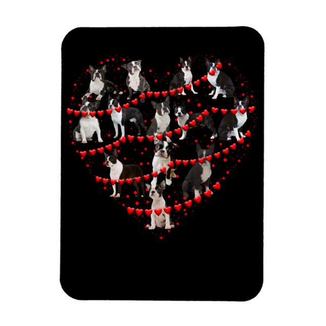 Boston Terrier Valentine's Day Red Heart Magnet (Vertical)