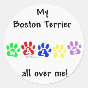 Boston Terrier Walks All Over Me Classic Round Sticker