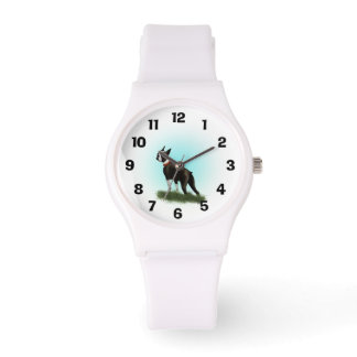 Boston Terrier Watch