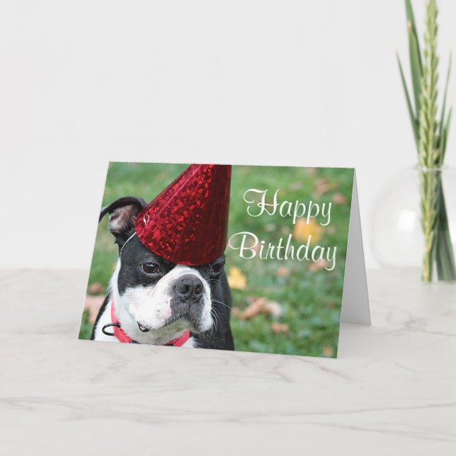 Boston terrier with a birthday hat card (Front)