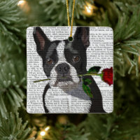 Boston Terrier with Rose in Mouth