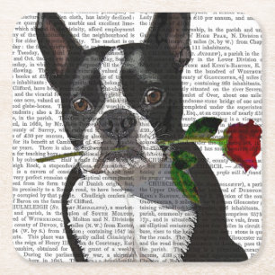 Boston Terrier with Rose in Mouth Square Paper Coaster