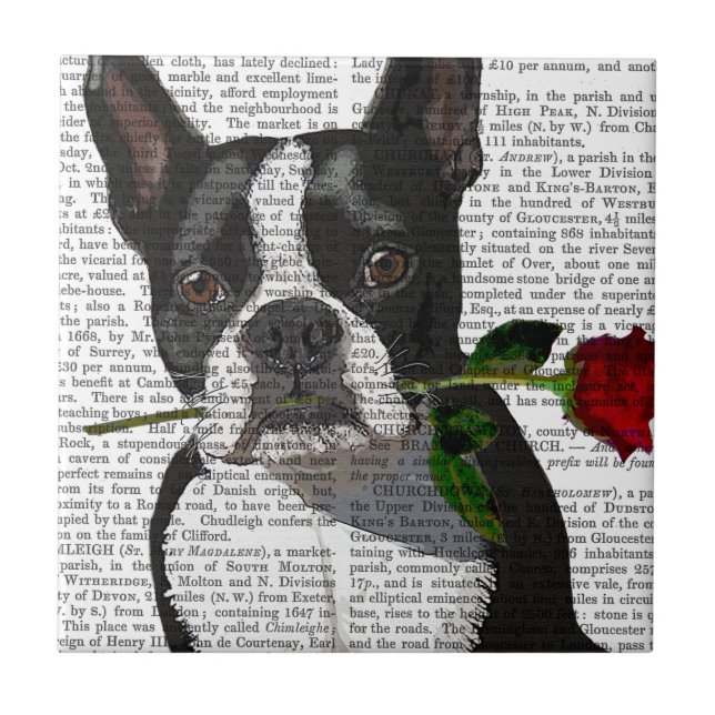 Boston Terrier with Rose in Mouth Tile (Front)