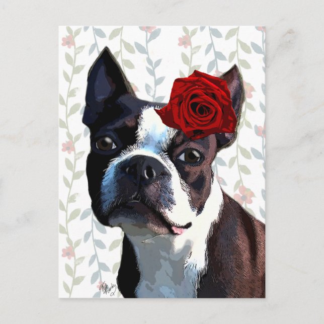 Boston Terrier with Rose on Head 2 Postcard (Front)