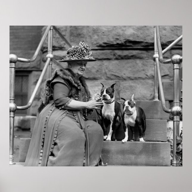 Boston Terriers, 1920s Poster (Front)